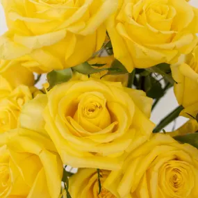 Bright Sun Yellow Fresh Cut Roses