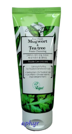 Grace Day Real Fresh Mugwort & Tea Tree Foam Cleanser